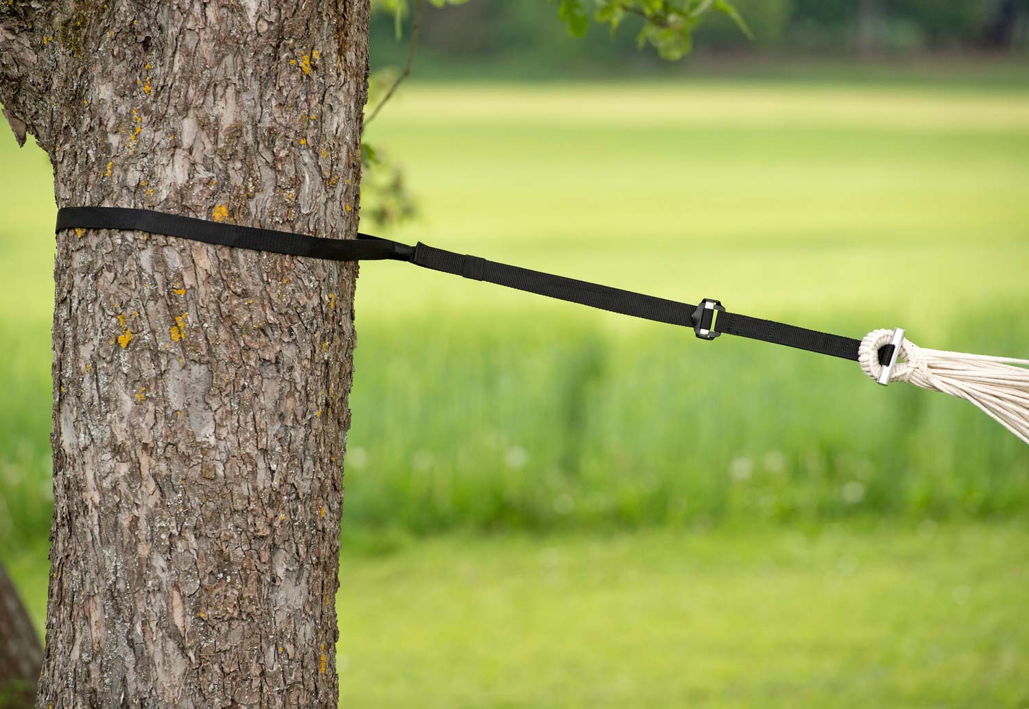 Aufhängung T-Strap