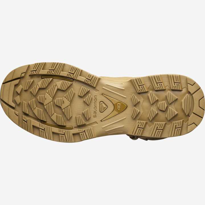 Quest 4D GTX Forces 2. Gen coyote