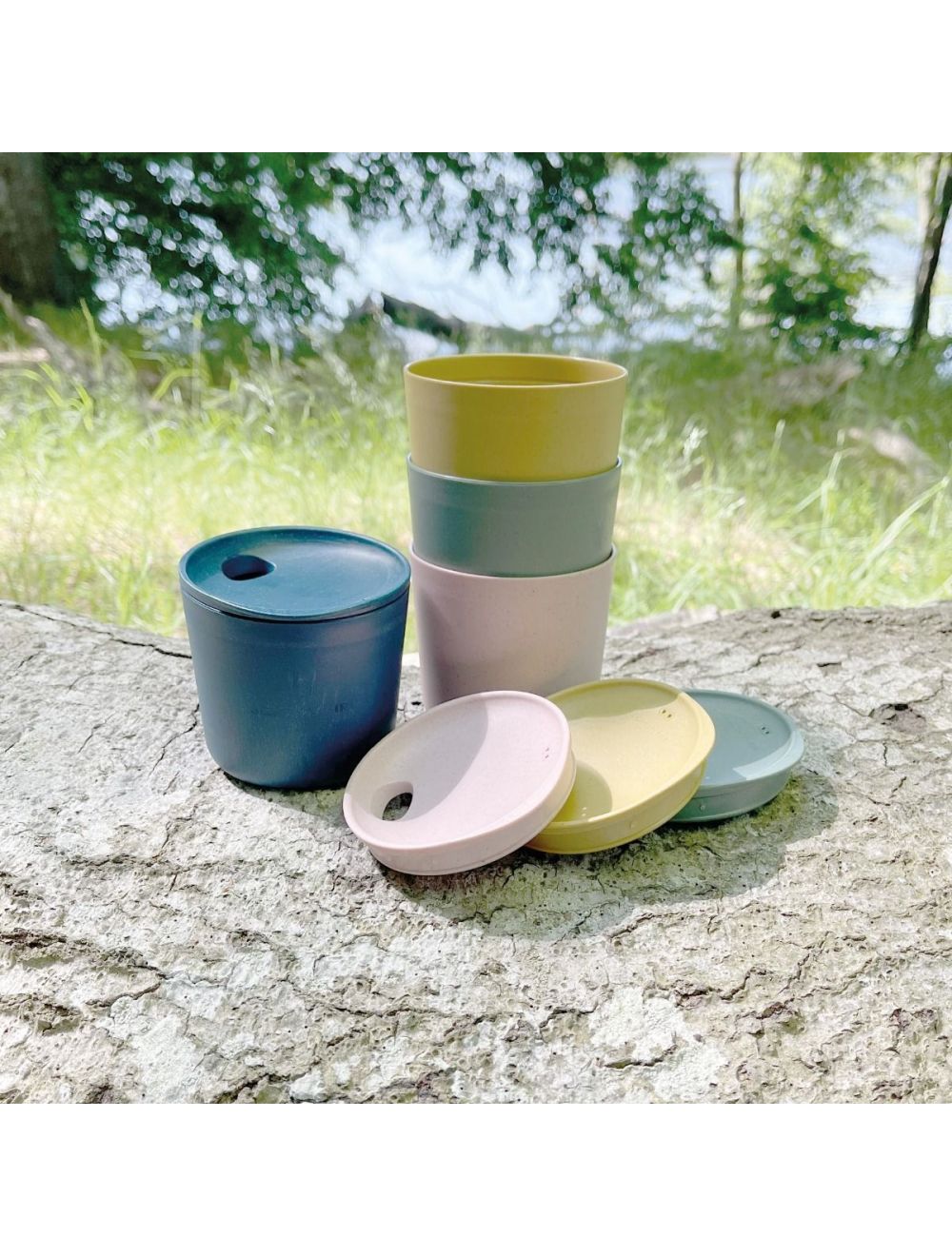 Picknick für 4 BIO